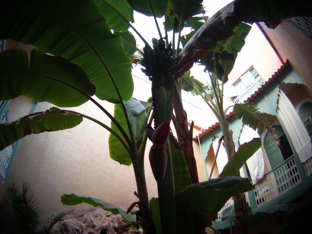 Riad Dar Mchicha Marrakesh Buitenkant foto