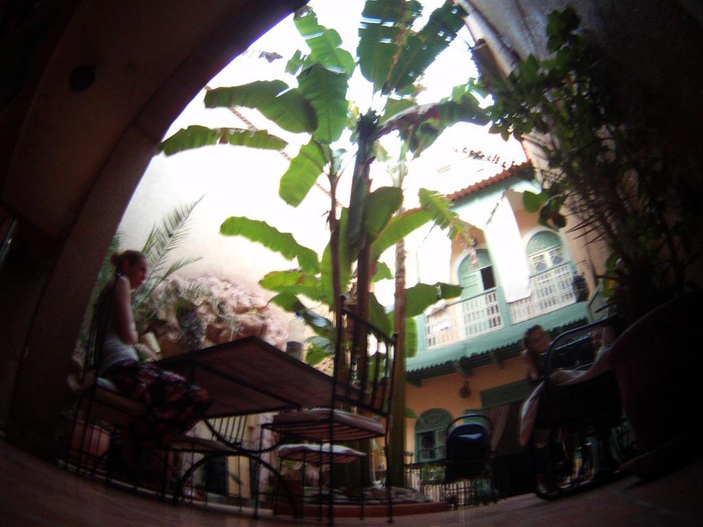 Riad Dar Mchicha Marrakesh Buitenkant foto