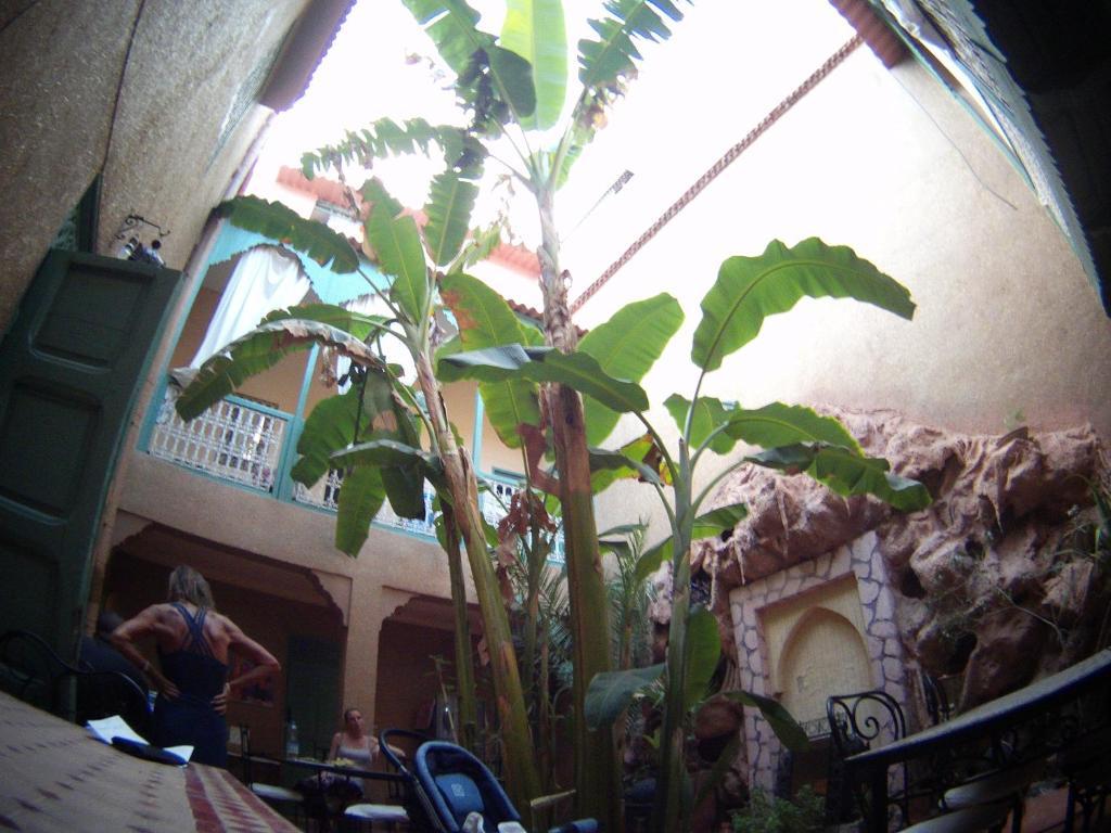 Riad Dar Mchicha Marrakesh Buitenkant foto