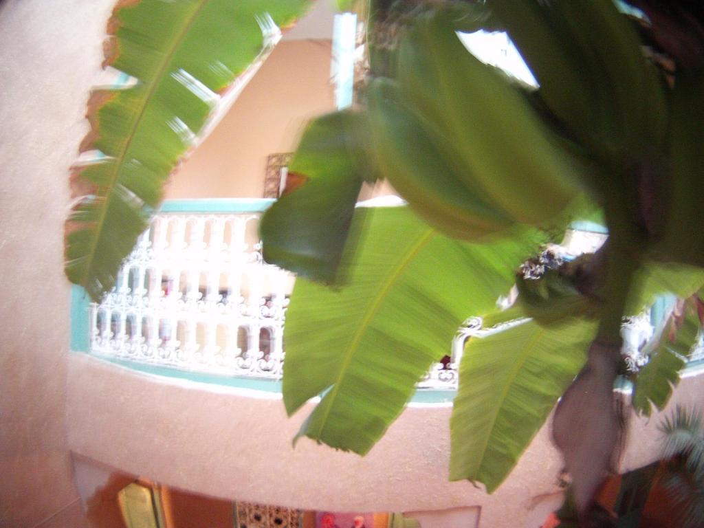 Riad Dar Mchicha Marrakesh Buitenkant foto