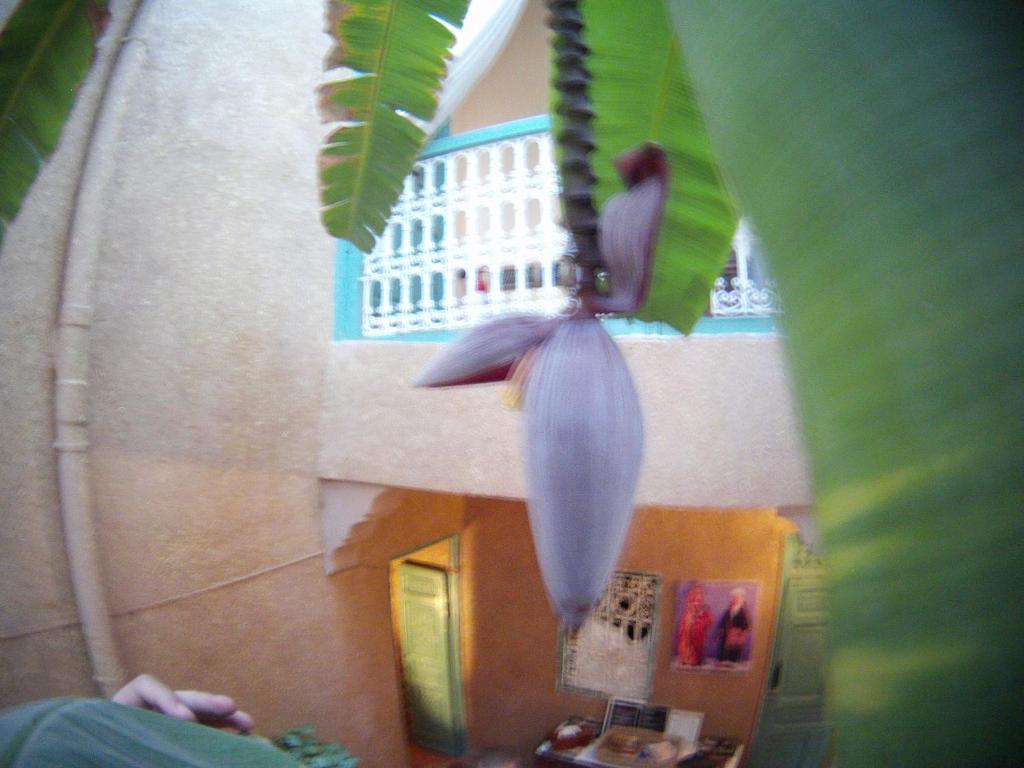 Riad Dar Mchicha Marrakesh Buitenkant foto