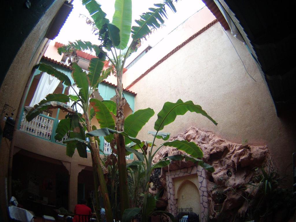Riad Dar Mchicha Marrakesh Buitenkant foto