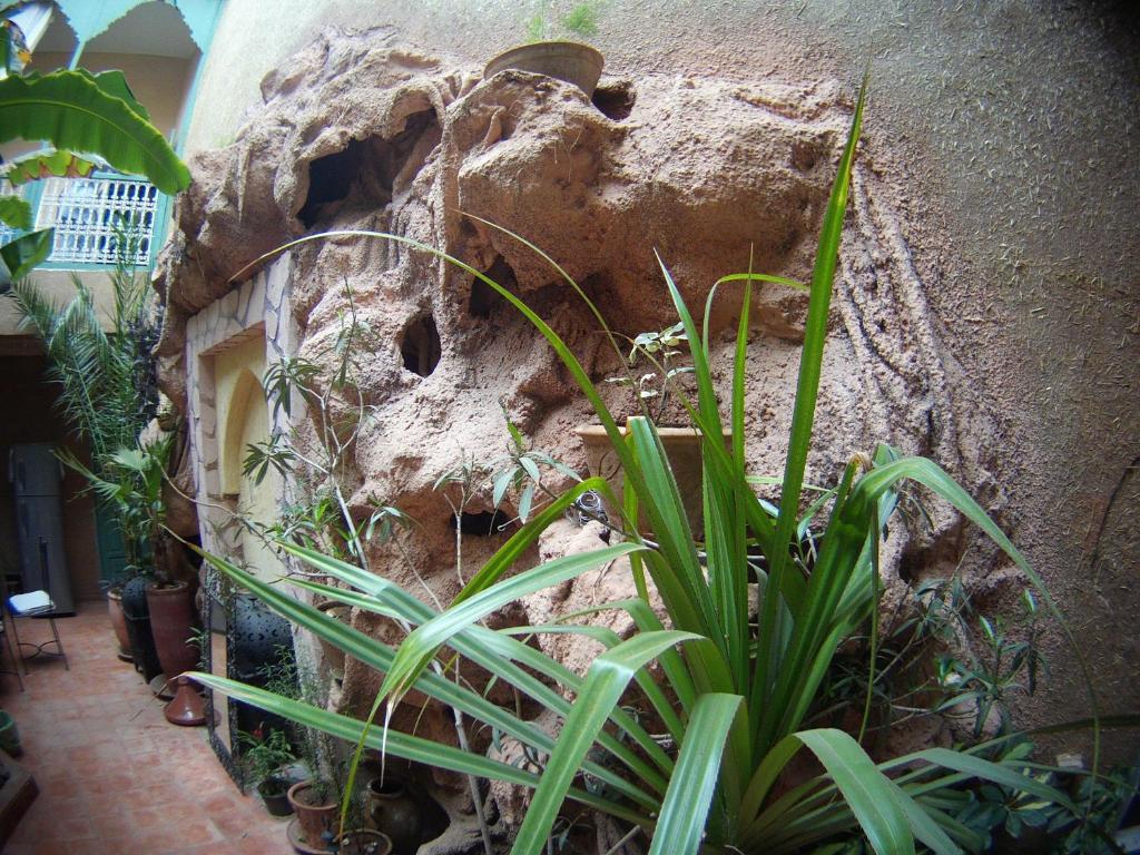 Riad Dar Mchicha Marrakesh Buitenkant foto