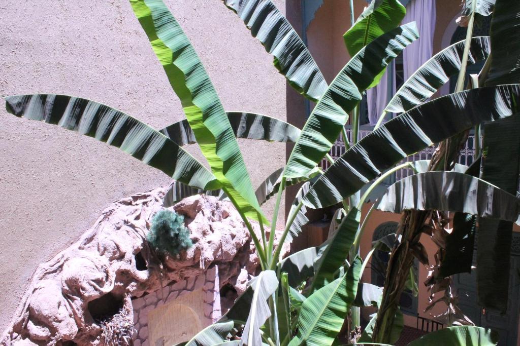 Riad Dar Mchicha Marrakesh Buitenkant foto