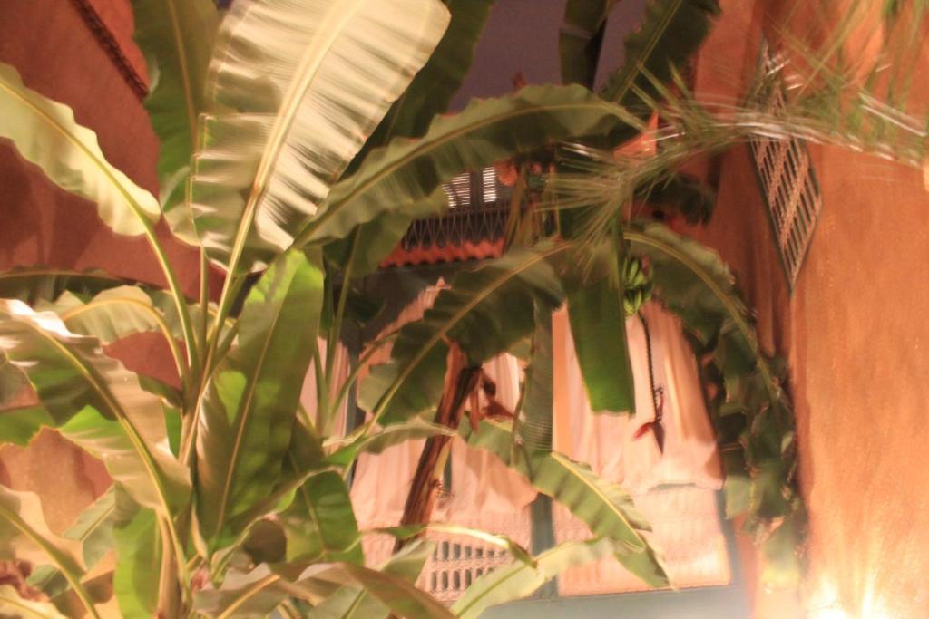 Riad Dar Mchicha Marrakesh Buitenkant foto
